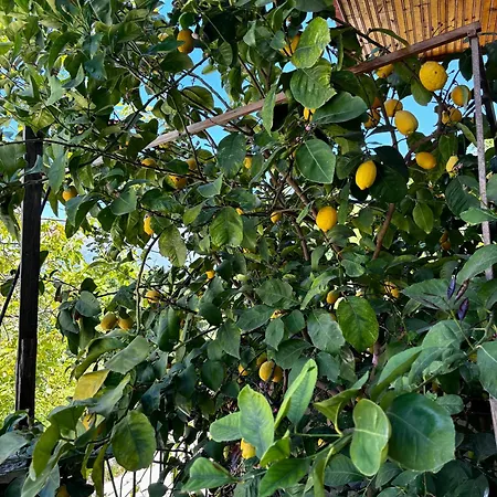 Villa Castle View Traditional House In Gjirokastër