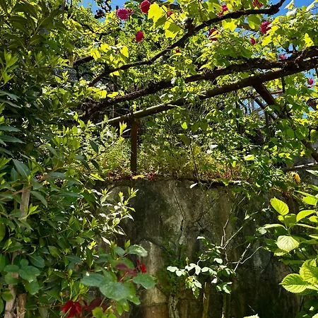 Castle View Traditional House In וילה