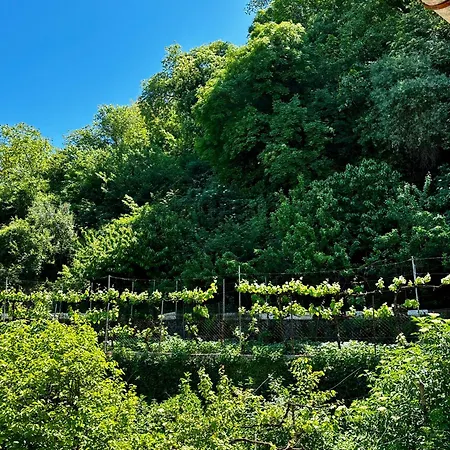 וילה Castle View Traditional House In *