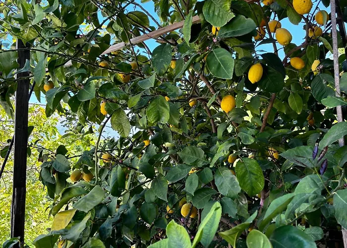 别墅 Castle View Traditional House In Gjirokastër
