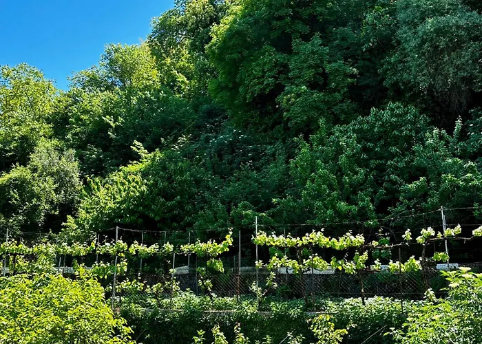 别墅 Castle View Traditional House In *