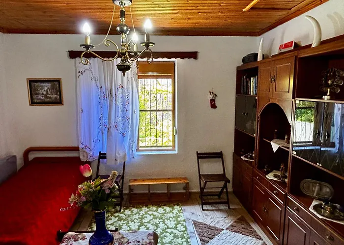 别墅 Castle View Traditional House In