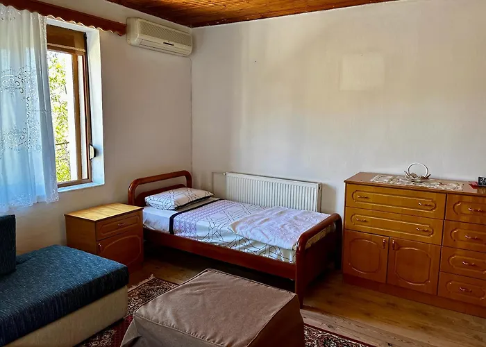 Castle View Traditional House In